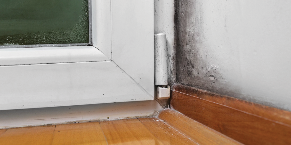 How to Repair a Rotted Door Frame
