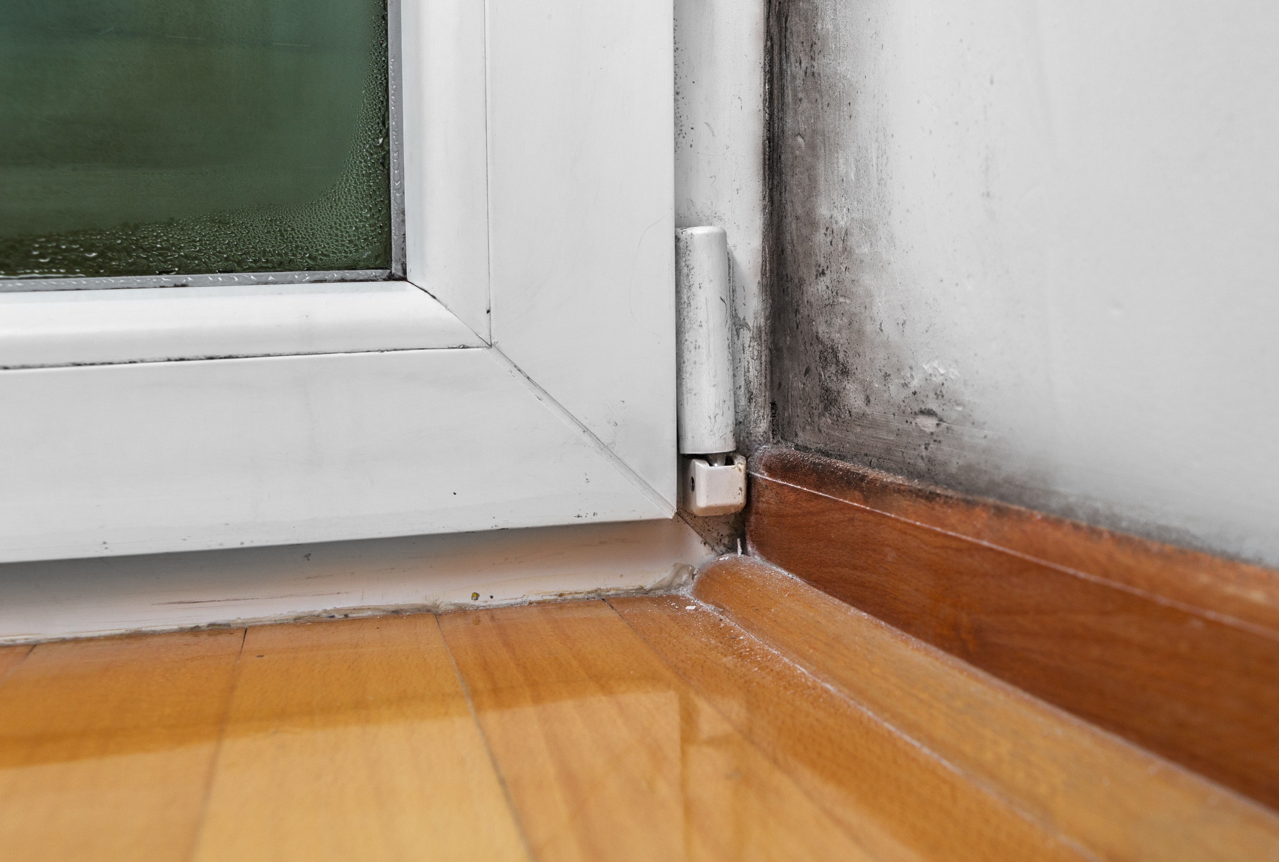 How To Repair A Rotted Door Frame